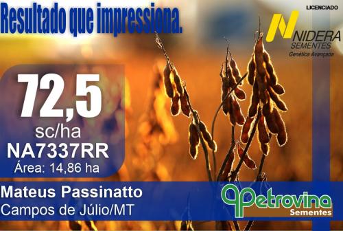 Petrovina Sementes - 72,5 sc/ha