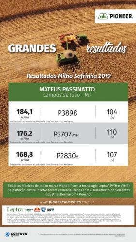 Resultados Milho Safrinha 2019