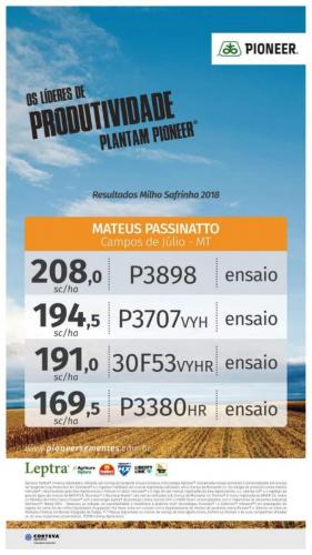 Resultado milho safrinha 2018